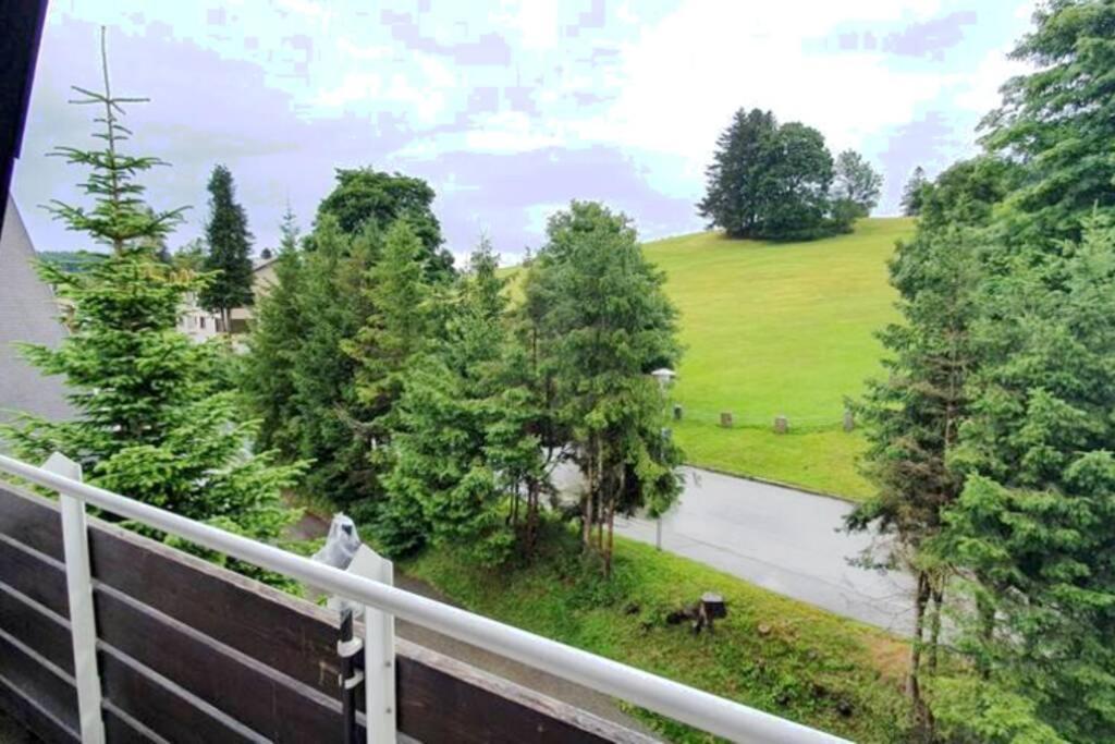 Black Forest Kuckucksnest Schönwald Luaran gambar