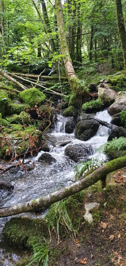 Black Forest Kuckucksnest Schönwald Luaran gambar