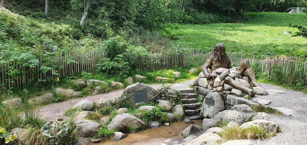 Black Forest Kuckucksnest Schönwald Luaran gambar