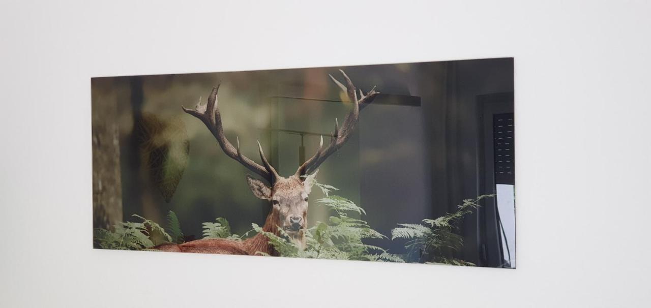 Black Forest Kuckucksnest Schönwald Luaran gambar