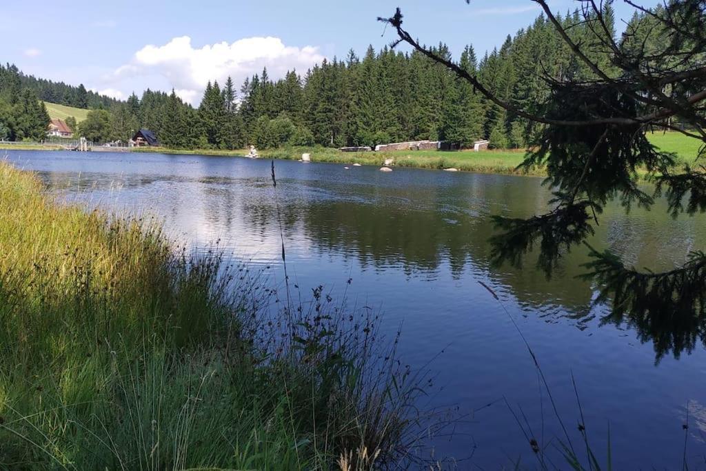 Black Forest Kuckucksnest Schönwald Luaran gambar