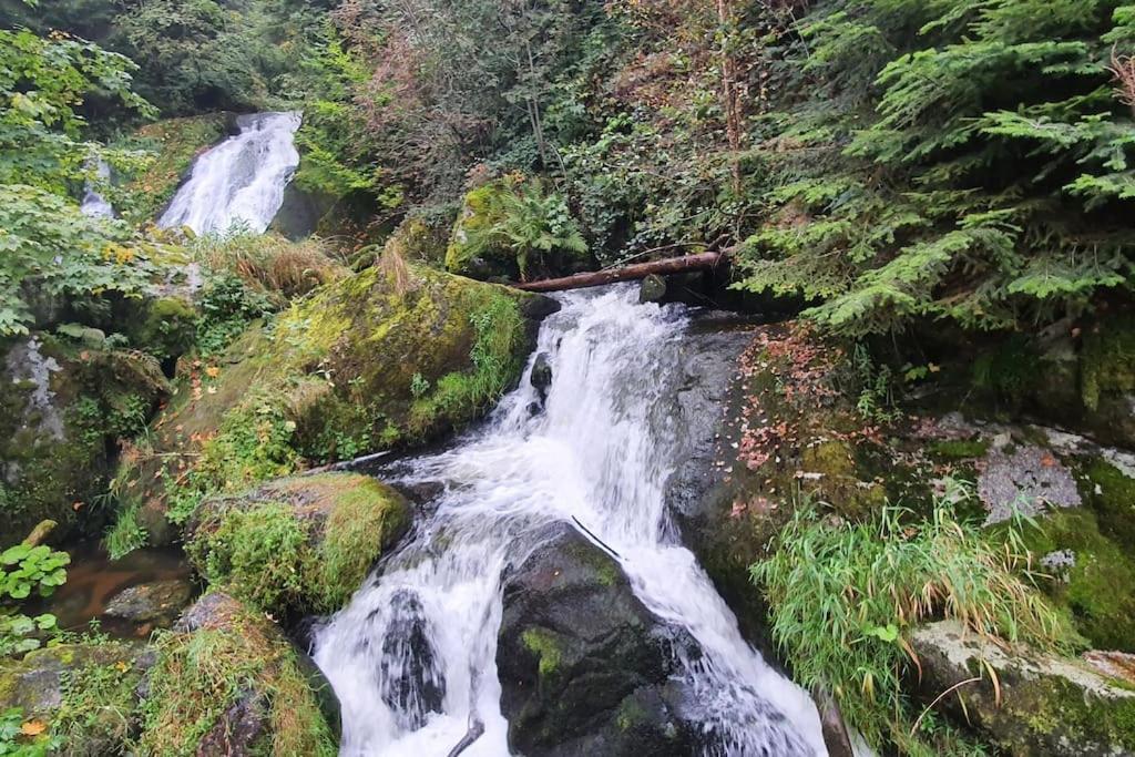 Black Forest Kuckucksnest Schönwald Luaran gambar