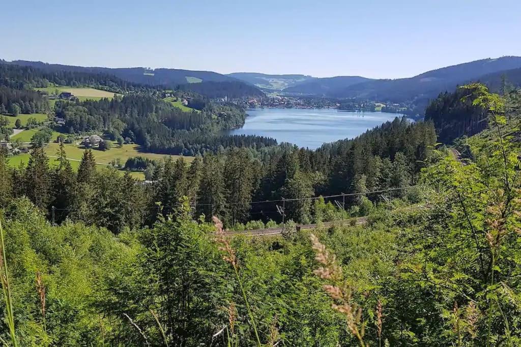 Black Forest Kuckucksnest Schönwald Luaran gambar