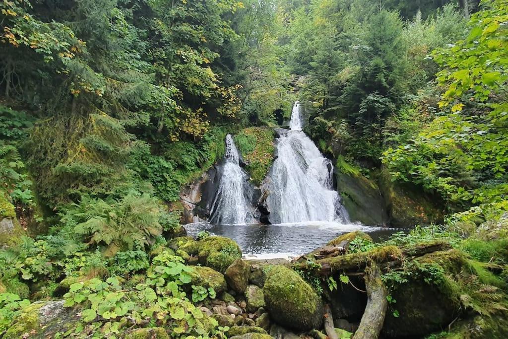 Black Forest Kuckucksnest Schönwald Luaran gambar